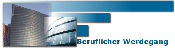 Beruflicher Werdegang